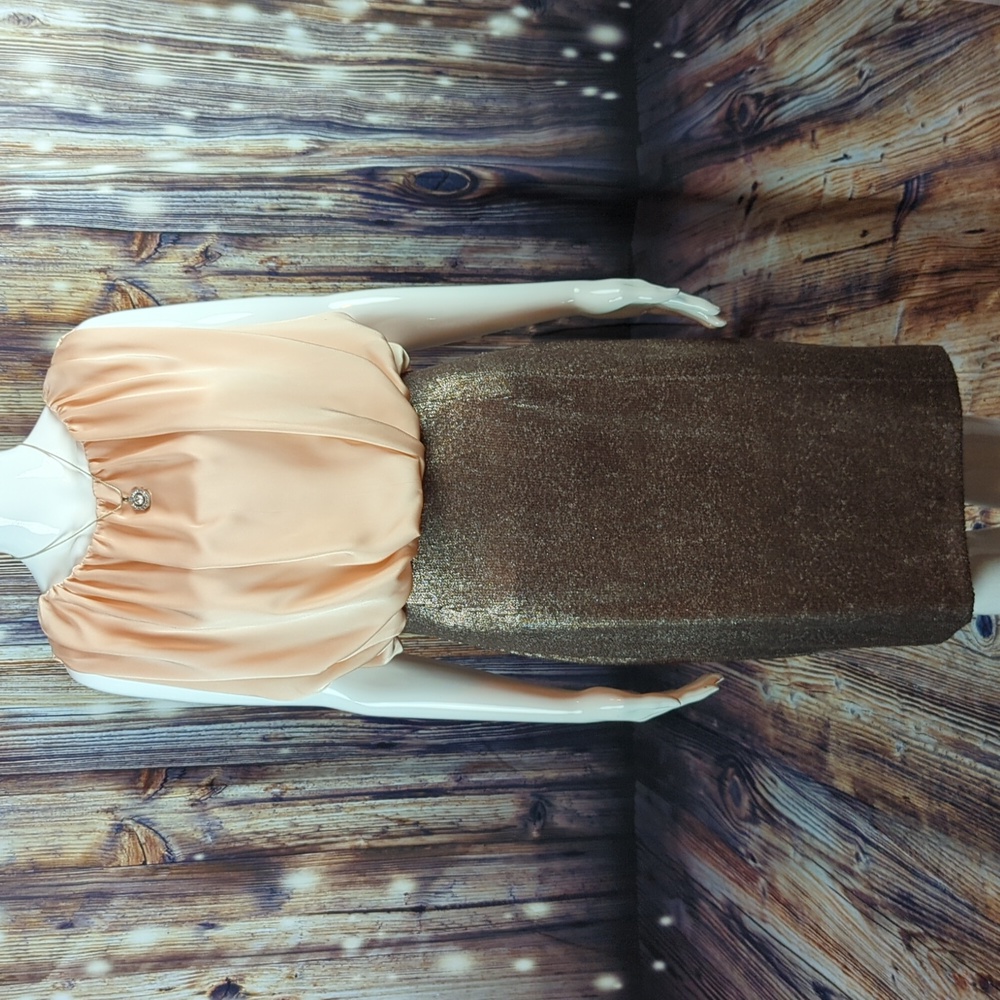 Suzi Chin for Maggy Boutique Evening Cocktail Ruched & Sequined Dress Size 4